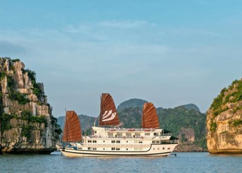 Collective junk in Ha Long