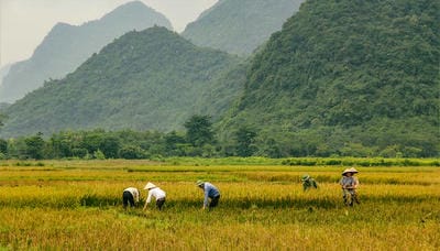 northwest-vietnam-things-to-do