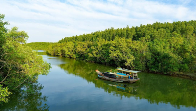 can-gio-mangrove-forest