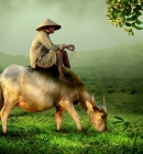 Top 10 Best Local Travel Agencies in Vietnam