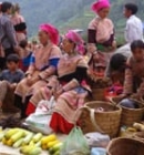 Top 10 best things should do and visit in Bac Ha