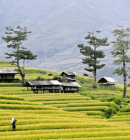 How can I spend 10 days in Vietnam ?