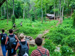 Visit Cuc Phuong National Park from Hanoi 02 Days