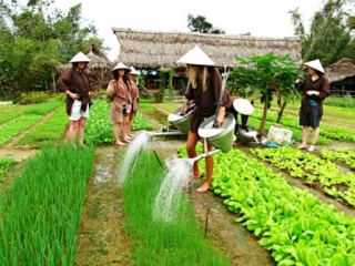 Tra Que Vegetable Village By Bike Tour From Hoi An