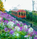 Best Vietnam Tour Packages From The UK