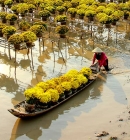 Top 5 Best Things To Explore In Sa Dec In Vietnam