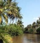 The Best Travel Guide Of Ca Mau Vietnam