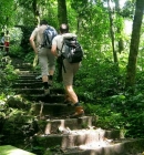 Cuc Phuong National Park in Ninh Binh