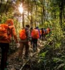 Fansipan Trekking Tours: 1 day, 2 days, or 3 days