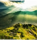 Where to see the most beautiful rice fields in Vietnam ?