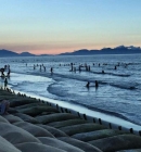 Top 7 Best Beaches In Hoi An To Da Nang