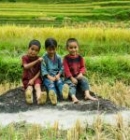 Trekking in Hoang Su Phi or in Pu Luong: which is better?