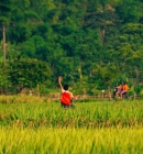 What To Do In Pu Luong Nature Reserve For 3 Days ?