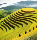 The Best Travel Guide of Yen Bai Vietnam