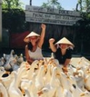 How many days to visit Phong Nha Ke Bang National Park?