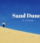 Top 8 Most Impressive Sand Dunes In Vietnam