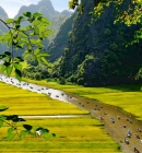 Tam Coc In Ninh Binh : a valley of sunshine