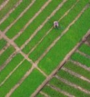Tra Que Vegetable Village – World’s Best Tourism Village Tour