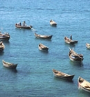 The best travel guide of Binh Thuan